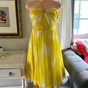 Ann Taylor silk dress. Size 6.